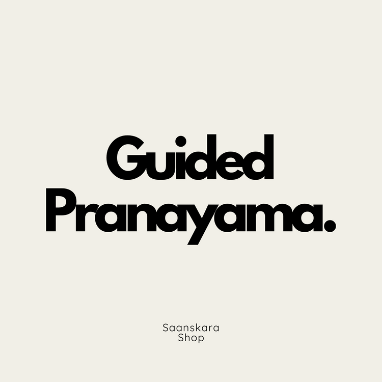 Guided Pranayama