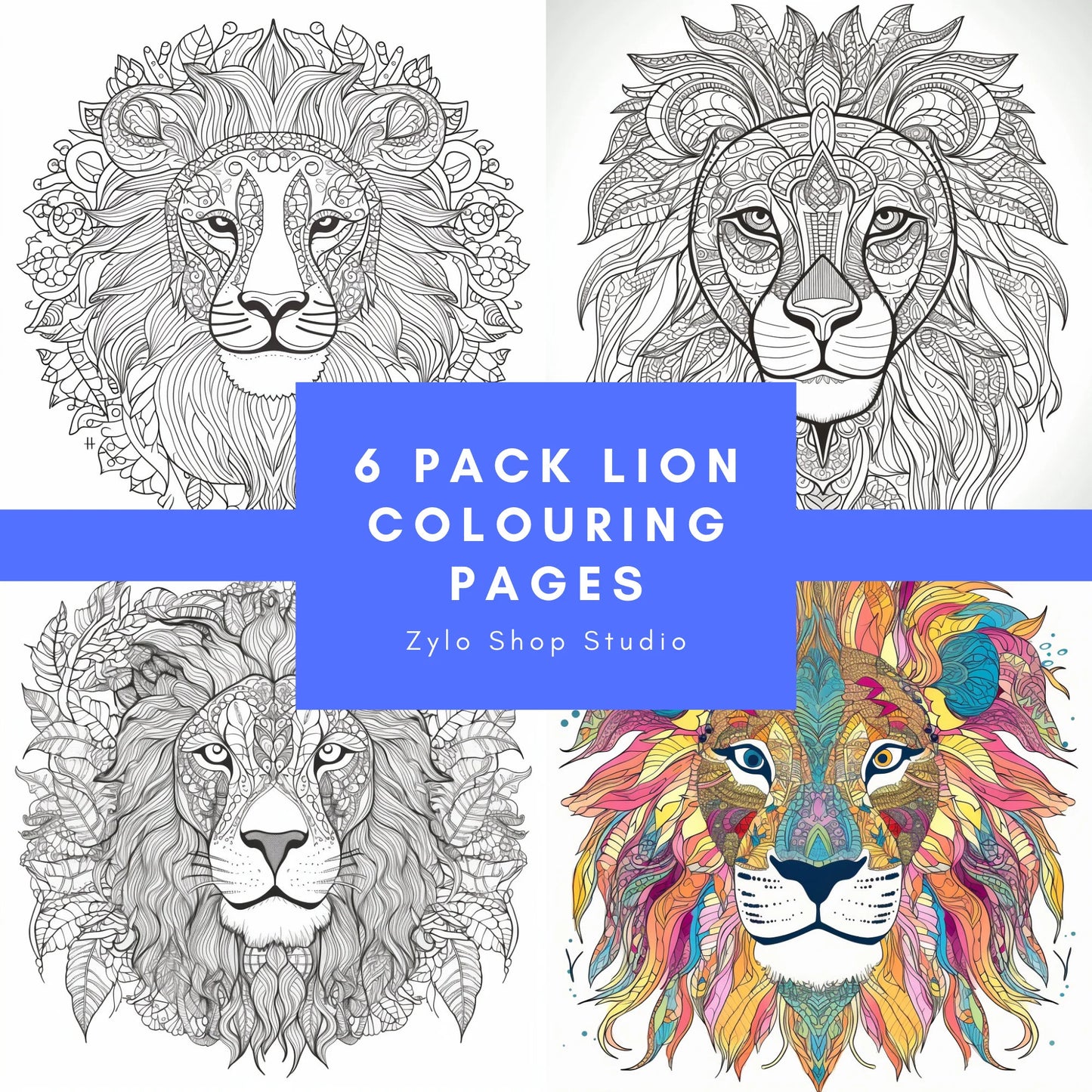 6 Pack Lion Colouring Pages